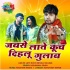 Jab Se Late Kuch Dihalu Gulab - Sad Song - Neelkamal Singh