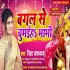Bagal Se Chumaiha Bhabhi  - Nisha Upadhyay Mp3 Song