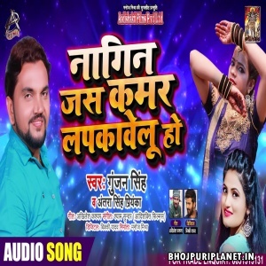 Nagin Jas Kamar Lapkawelu Ho Mp3 Song - Gunjan Singh