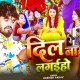 Dil Na Lagaiho