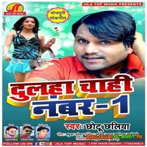 Dulha Chahi Number 1 (2019) Chhotu Chhaliya