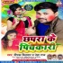 Mili Chhapra Ke Pichkari Mp3 Song