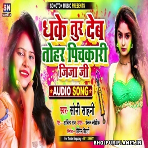 Dhake Tur Deb Tohar Pichkari Jija Ji Mp3 Song