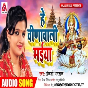 Hey Veenawali Maiya Teri Jaykaar karu Mp3 Song