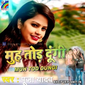 Edhar Udhar Dekhega Muh Tod Dungi Mp3 Song