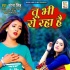 Tu Bhi Ro Raha Hai (Sad) Mp3 Song