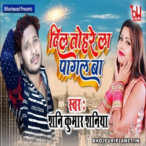 Dil Tohare La Pagal Ba Mp3 Song