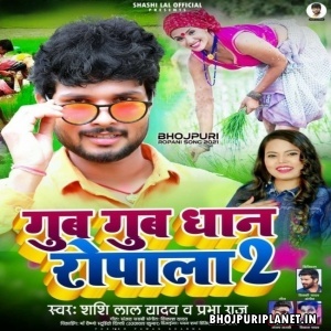 Gub Gub Dhaan Ropala 2 MP3 Song