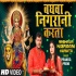 Baghwa Tohra Aagwa Nigraani Karata 480p Mp4 HD Video Song