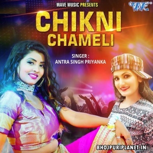 Chikni Chameli (Antra Singh Priyanka)