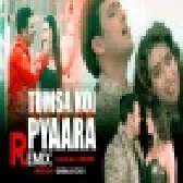 Tumsa Koi Pyara - Bhojpuri Vs Bollywood Remix Video Song - Dj Dalal