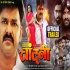 Pyari Chandni Movie Trailer Mp4 Video 720p