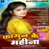 Bhojpuri Holi Latest Album Mp3 Songs - 2022