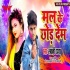 Bhojpuri Holi Latest Album Mp3 Songs - 2022