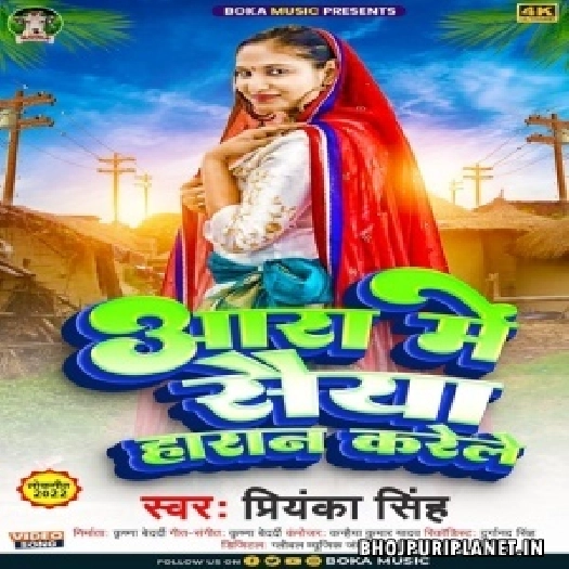 Aara Me Saiyan Haran Karele (Priyanka Singh)