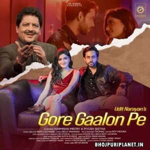 Gore Gaalon Pe (Udit Narayan)