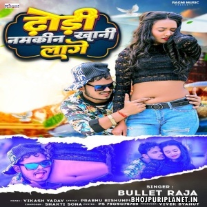 Dhodhi Namkin Khani Lage (Bullet Raja)
