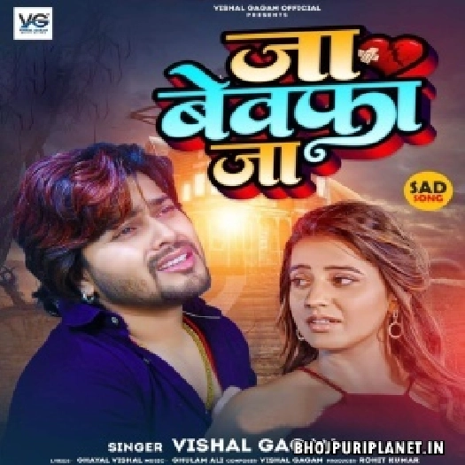 Ja Bewafa Ja (Vishal Gagan)