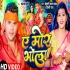 Bhojpuri Bolbum Album Hits Video Songs - 2023