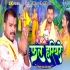 Fal Hariyare HD Video Song 720p