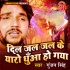 Bhojpuri Album Mp3 Songs - 2016