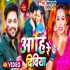 Bhojpuri Holi Hits Album Video Song (2024)