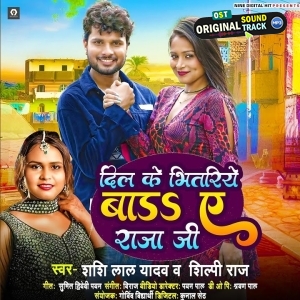Dil Ke Bhitariye Bada Ae Raja Ji (Shashi Lal Yadav, Shilpi Raj)