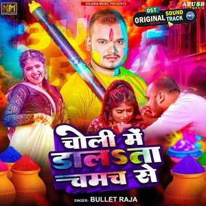 Choli Me Dalata Chamach Se (Bullet Raja)