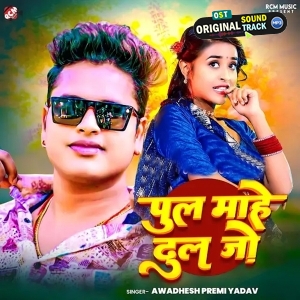 Pul Mahe Dhul Jo (Awadhesh Premi Yadav)