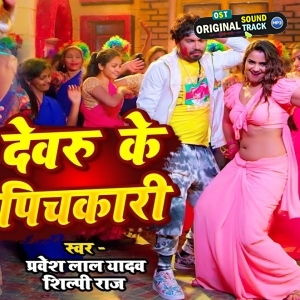 Ae Devaru Tohar Pichkari Se Hamar Upar Se Niche Ranga Gail