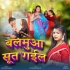 Sakhi Ho Balamua Sut Gail