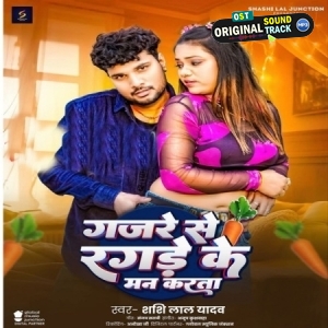Gajade Se Ragade Ke Man Karata (Shashi Lal Yadav)