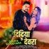 D - Gallery All Bhojpuri Mp3 Song