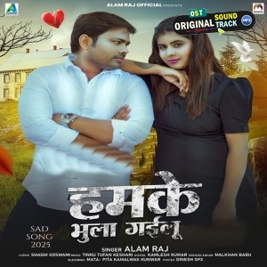 Hamke Bhula Gailu (Alam Raj)