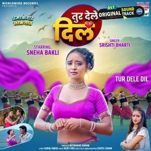Tur Dele Dil (Srishti Bharti)