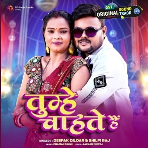 Tumhe Chahte Hai (Deepak Dildar, Shilpi Raj)