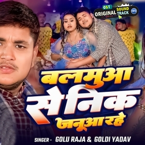 Balamua Se Nik Janua Rahe (Golu Raja)