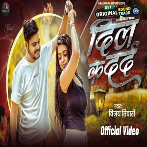 Dil Ke Dard (Vinay Tiwari)