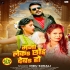 Maza Leke Chhod Deba Ho