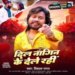 Dil Nagin Ke Dele Rahi (Vishal Gagan)