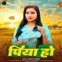 Bhojpuri Latest Mp3 Song - April 2025