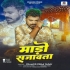 M - Gallery All Bhojpuri Mp3 Song