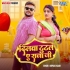 Dilwa Tutal Ae Raja Ji
