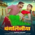 B - Gallery All Bhojpuri Mp3 Song