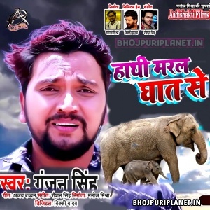 Haathi Maral Ghat Se (Gunjan Singh)