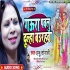 Gaura Pawlu Dulha Bahurahwa Song
