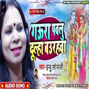 Gaura Pawlu Dulha Bahurahwa Song
