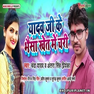 Yadav Ji ke Bhaisa Khet Me Chari Mp3 Song - Antra Singh Priyanka