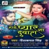 Hoi Pyaar Na Dobara Mp3 Song - Neelkamal Singh