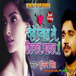 Tere Pyar Me Kitna Pagal Hu (2018) Gunjan Singh